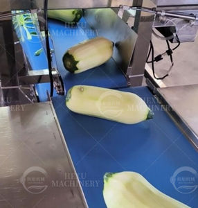 Kunden spezifische <span class=keywords><strong>Mango</strong></span>-Hauts chäl maschine <span class=keywords><strong>Mango</strong></span>-Schäler Taro-Haute ntfernungs maschine - Product Image 6