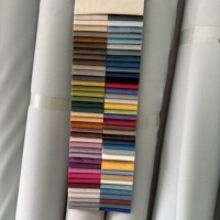 Tissu d'ameublement en velours italien 100% polyester imprimé, anti-plis, sans poils, pour canapé et textile de maison - Vente chaude usine