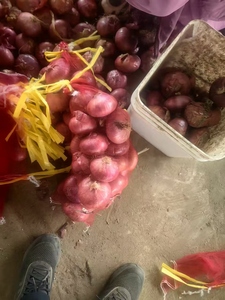 Fresh Red Purple <strong>Onion</strong> Supplier | Premium Quality <strong>Export</strong> From Shandong Non-Peeled 12 Month Shelf Life - Product Image 2