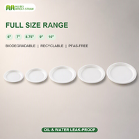 Assiette jetable en bagasse de 10 pouces, compostable, biodégradable, en canne à sucre, résistante à l'huile, sans PFAS, directement de l'usine