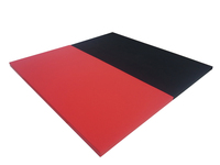 Tapis de judo Tatami utilisés pour le grappling à vendre