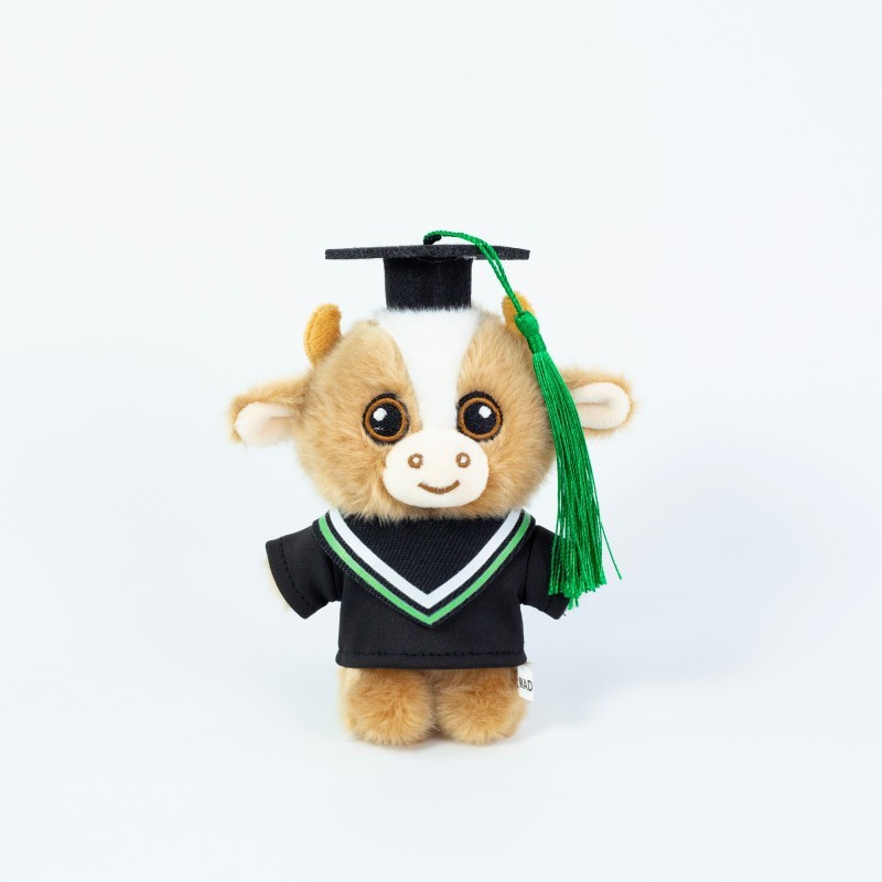Collare verde: mucca marrone