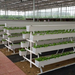 Sistema de Cultivo Hidropónico NFT, Canal de Plástico para Fresas, Jardín, Invernadero - Product Image 2