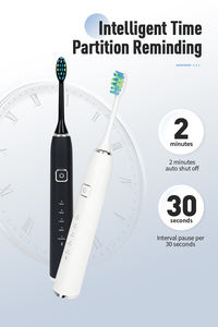 38000 Course/Min 5 Modes brosse à dents électrique à piles écologique élégant 2025 fabricants - Product Image 5