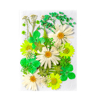 Nouveau Design Vente Chaude Naturel Séché Micro-ondes Kits de Presse Fleurs Art en Résine Fleurs Séchées Pressées