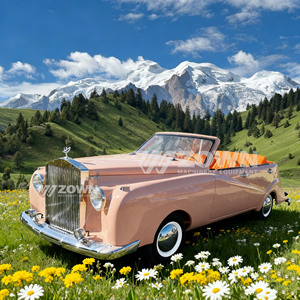 Voiture électrique de tourisme rétro vintage à coussinets souples de qualité supérieure, navette écologique pour le transfert des invités du club de campagne - Product Image 2