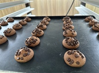 Ligne de production automatique de biscuits aux pépites de chocolat BNT-208 en acier inoxydable, haute productivité, commande tactile, machine à biscuits fourrés