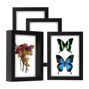 Tùy chỉnh tất cả các màu đen trắng óc chó MDF Gỗ Sâu 3cm 5cm 8x8 12x12 16x16 inch a3a4 tường nghệ thuật hình ảnh Khung bóng hộp khung ảnh - Product Image 1