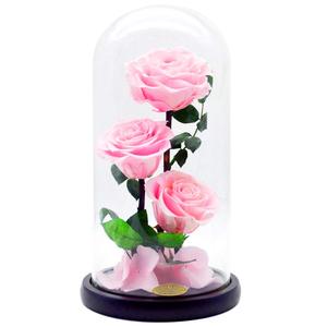 Giorno di San Valentino Anniversario di Matrimonio Compleanno Conservato <span class=keywords><strong>Rosa</strong></span> Mai Appassito Rose Fiore in 12.5X6 Cupola di Vetro Regalo - Product Image 2