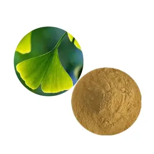 Pure Groothandel Prijs Grade Ginkgo Biloba Leaf Extract Organische Ginkgo Biloba Extract Poeder Gingko Extract