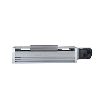 Longyao 6061 Mesa deslizante motorizada de movimiento lineal de aluminio, 2 ejes XY, con rodamientos, guía lineal para máquina CNC