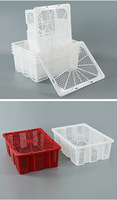Boîte de transport en plastique pour cailles / Caisses à poulets / Boîte de transport pour pigeons / Équipement de transport de volailles