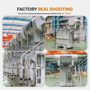 CEEG 50 MVA trafo daya terbenam minyak 100MW / 230kV untuk pembangkit listrik tenaga surya - Product Image 4