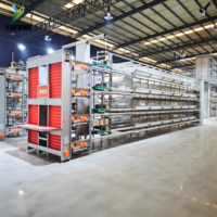 Cage à poulets de type H, équipement d'élevage avicole pour poules pondeuses, cage à batterie pour poulets à 4 niveaux pour les petites et moyennes exploitations agricoles