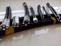 0,6/1kv Cable concéntrico de aluminio XLPE/PVC Cable ABC de aluminio