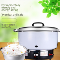 Cuisinière à riz au gaz commerciale grande capacité, cuiseur à riz au gaz GPL, cuisinière automatique pour restaurant, cantine, restauration, magasin d'alimentation