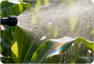 Giá tốt nonylphenol Ethoxylate CAS 9016-45-9 cho agrochemical bổ trợ/chất nhũ hóa - Product Image 3