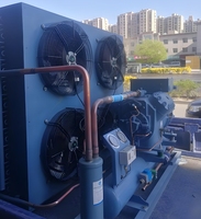 Unité de condensation pour réfrigération industrielle avec compresseur à piston semi-hermétique, capacité de refroidissement de 6 à 30 CV