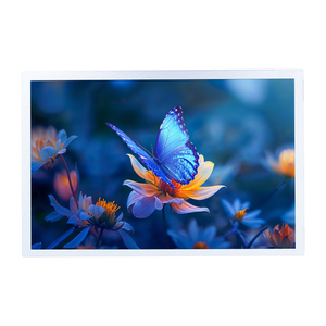 Original AUO G121EAN01.3 12.1 Inch WXGA 1280×800 AHVA 1500nits LVDS 20Pin Ultra Wide Temp Industrial TFT <b>LCD</b> <b>Module</b> - Product Image 2