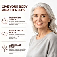 Capsules de Cannelle de Ceylan pour l'Énergie, le Soutien Cardiaque et Métabolique, 60 Capsules, Complément de Cannelle pour Hommes et Femmes, Soutien Antioxydant