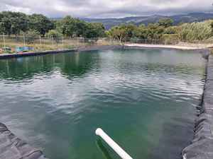 Géomembrane écologique <span class=keywords><strong>de</strong></span> 1,5 mm, revêtement économique, géomembranes pour étangs <span class=keywords><strong>de</strong></span> crevettes et <span class=keywords><strong>de</strong></span> poissons - Product Image 6