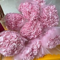Bunga Hydrangea Asli Awet Alami Daun Besar Putih Tahan Lama 3-5 Tahun Bunga Abadi Dekorasi Rumah Thanksgiving Gliserin