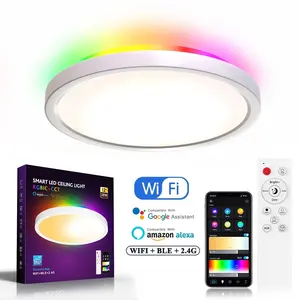 Banyo mutfak su geçirmez tavan ışık LED müzik tavan ışık Bluetooth hoparlör FCCUL 1598 sertifikalı 18W gümüş çapı LED