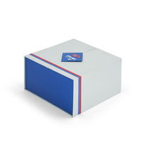 Boîte cadeau de luxe à double porte personnalisée avec insert en mousse EVA, boîte d'emballage en papier argenté avec sac de shopping assorti