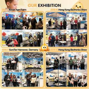 공장 직접 판매 30000 메추라기 계란 인큐베이터 독일에서 만든 HHD Surehatche 인큐베이터 - Product Image 6