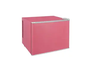 Düşük fiyat 20L cilt bakımı makyaj buzdolabı Mini buzdolabı dondurucu içecekler için