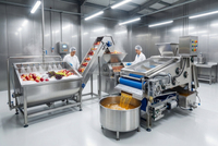 Automatische industriële fruitpersmachine met koude pers technologie voor kleine en middelgrote sapfabrieken