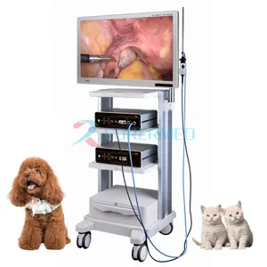 Kamera endoskopi dokter hewan, kamera bedah resolusi UHD 32 inci 4k untuk rumah sakit hewan