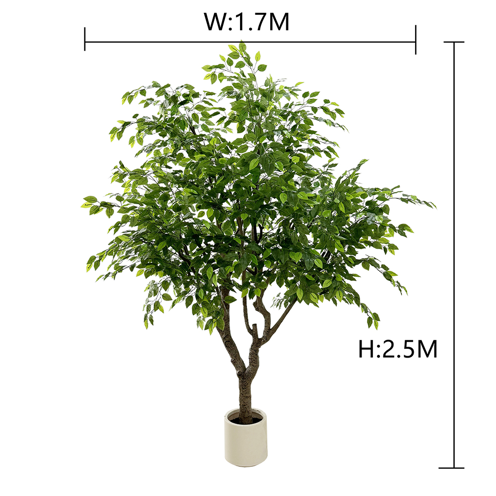 250cm