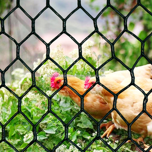Lưới thép mạ kẽm bọc nhựa PVC bò với các lỗ nhỏ và lưới lục giác được sử dụng để bao vây chuồng gà - Product Image 3