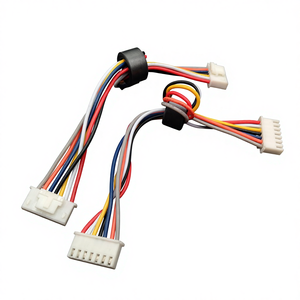 カスタム2ピン11ピンJSTモレックスAMP延長ケーブル（磁気リング付き） - Product Image 1