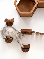 Étagère murale d'escalade pour chat, plateforme de saut, mobilier écologique pour animaux de compagnie, échelle murale d'escalade, étagère en bois pour chat