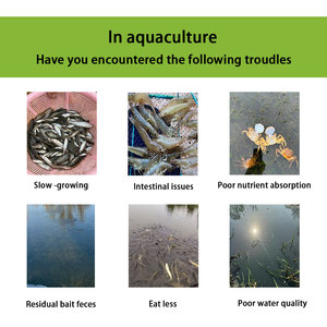 สารเสริมคุณภาพสูงสำหรับอาหาร<span class=keywords><strong>ปลา</strong></span>เม็ด ช่วยเร่งการเจริญเติบโตและเพิ่มน้ำหนัก  กรดอะมิโนเกรดอาหารสัตว์ ตราสตาร์โดมเทรด - Product Image 3