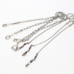 Nuova Catena per Addestramento Piccioni da Esterno, Anello per Caviglia in Acciaio Inox per Pappagalli, 50cm, Ecologico e Sicuro - Product Image 5