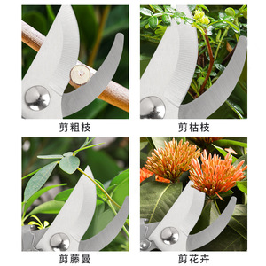 Rama Pruning Shears Stainless Steel Bypass Pruner Ivory White Handle Gardening Tool - Product Image 3