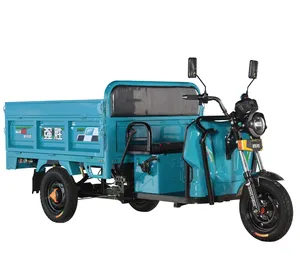 Tricycle électrique à trois roues pour utilisation cargo avec moteur 1000W de grande capacité