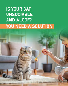 Spray Calmante per Gatti con Erba Gatta, Formula Naturale che Aiuta a Ridurre lo Stress e Incoraggia l'Interazione, per Gatti Oltre i 6 Mesi - Product Image 4