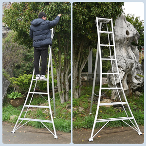 <strong>Garden</strong> Pruning Tripod <strong>Ladder</strong> Aluminum Alloy Triangular Exterior Use Fruit Tree Maintenance 300kg Load Capacity Tripod <strong>Ladder</strong> - Product Image 4