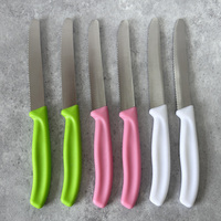 Couteau à steak classique de cuisine à lame dentelée en métal avec manche en plastique, lot de 6 couteaux utilitaires et à éplucher en acier inoxydable