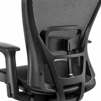 Chaise de bureau ergonomique moderne en maille, dossier haut, soutien lombaire réglable, chaise pivotante pour les cadres, les dirigeants et le personnel