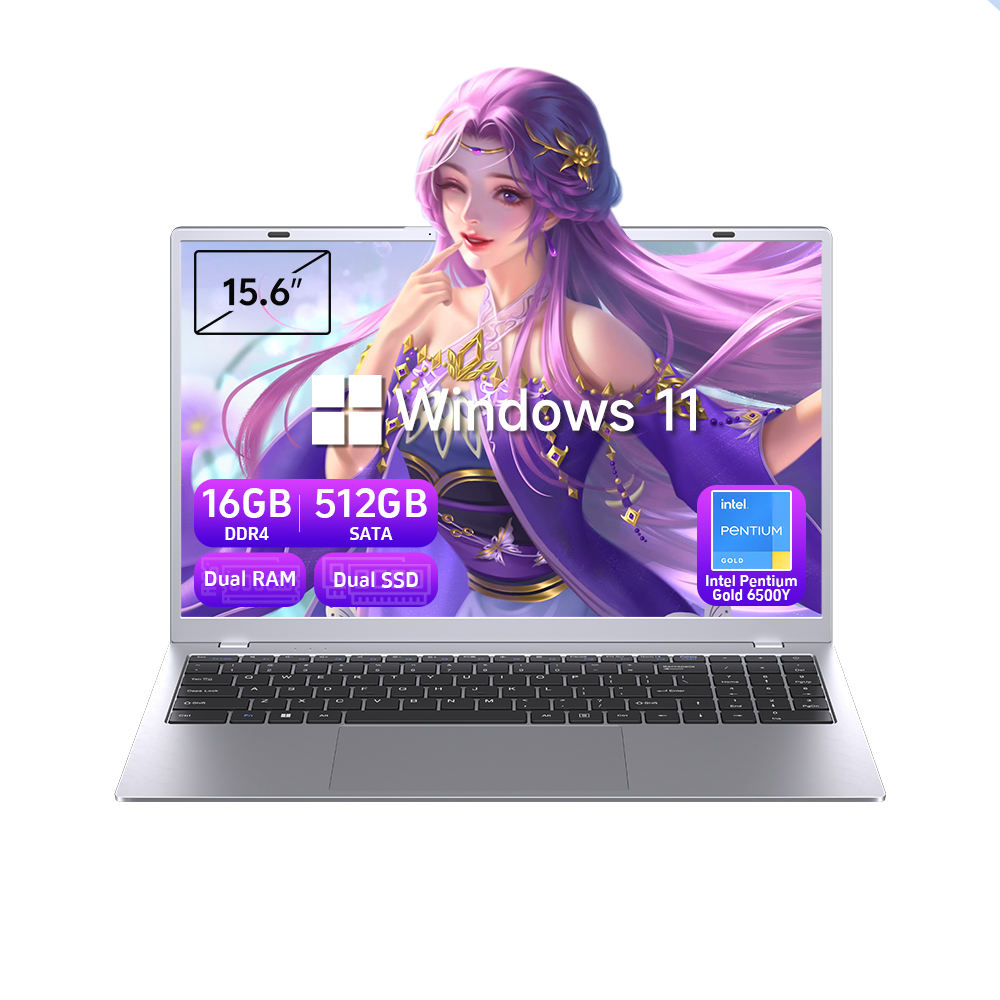 Ordinateur Portable 15.6'' Business Laptop Intel 16GB RAM 512GB SSD Intel Pentium Gold 6500Y Windows 11 Pro Laptops Brand New