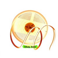 Bande lumineuse LED COB intelligente avec gradation progressive via commande vocale et application mobile, Ra90 CRI 24V, éclairage linéaire de plafond de style paupière