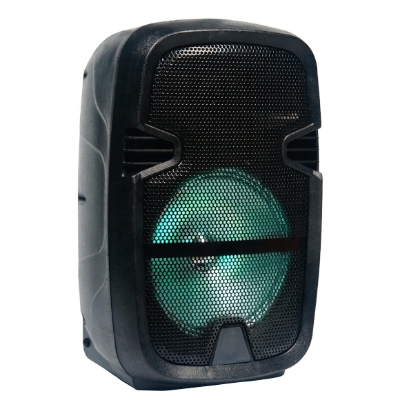 8 Inch OEM Cheap Price Christmas Gadget Wireless Portable Rechargeable Speaker Sound System TWS Speaker