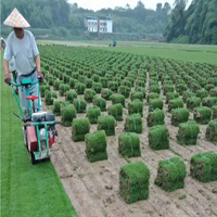 Tondeuse à gazon, coupe-herbe, mini-faucille, coupe-herbe, coupe-herbe pour gazon