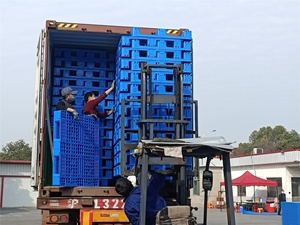 Fornitori di Pallet <span class=keywords><strong>prezzi</strong></span> dei Pallet reversibili in plastica Hdpe durevoli con rivestimento reversibile - Product Image 6