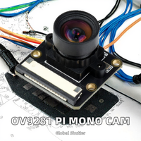 DALUMAK OV9281-110 Caméra Mono Raspberry Pi Obturateur Global 1MP 1920x1080 1/4 Pouce CMOS Interface CSI-2 Module Refroidi pour Faible Luminosité